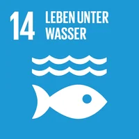 © 17 Ziele (17ziele.de), Icons gemäß UN-Styleguide verwendet / Sonstige/Kommerziell